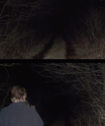 ghost hunt  long tree covered driveway .gif