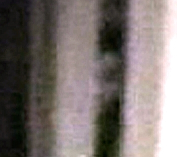 possible ghost face close up.jpg