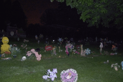 babies graves section ghost hunt photos.gif